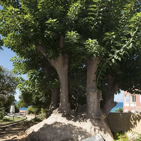 Mosca Charming House Bed & Breakfast