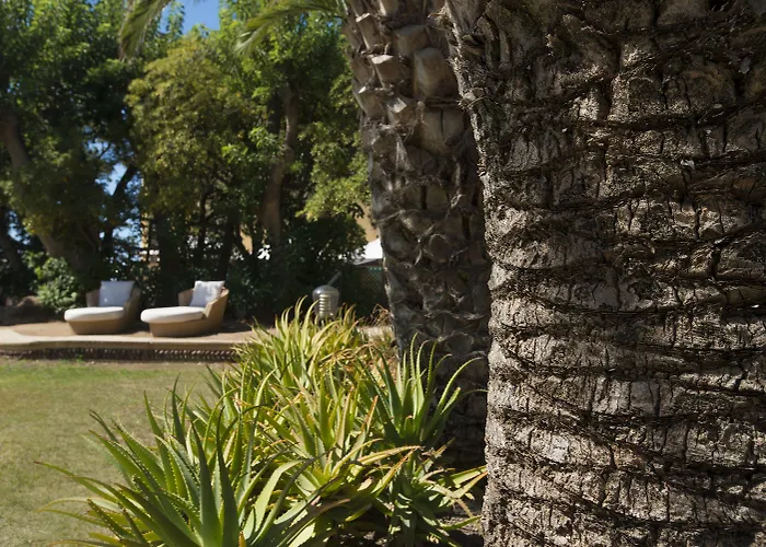 Mosca Charming House