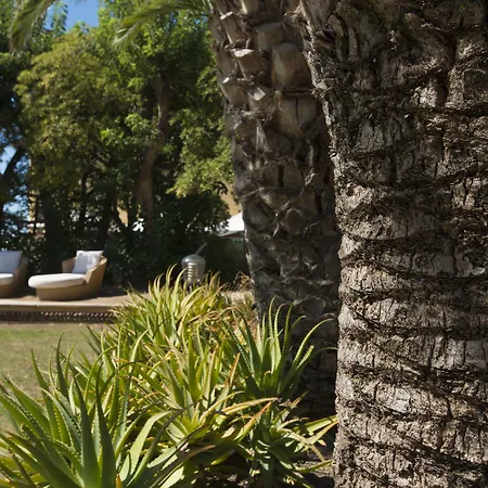 Mosca Charming House