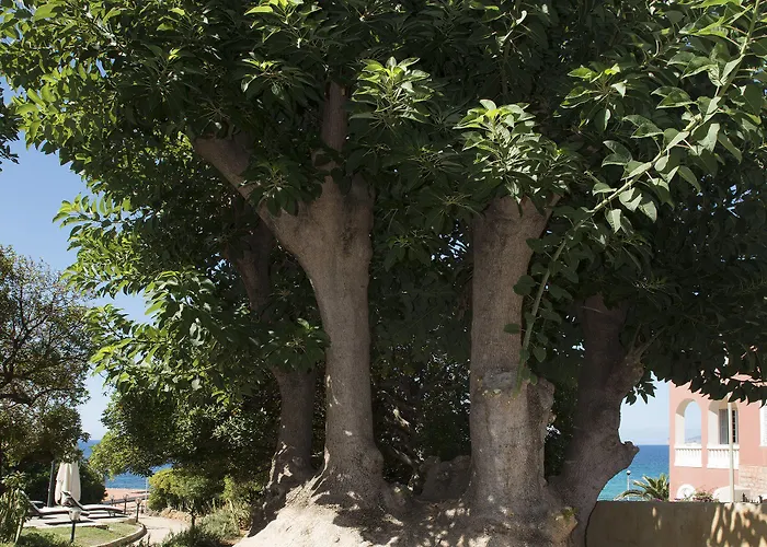 莫斯卡迷人之家别墅住宿加早餐旅馆 住宿加早餐酒店