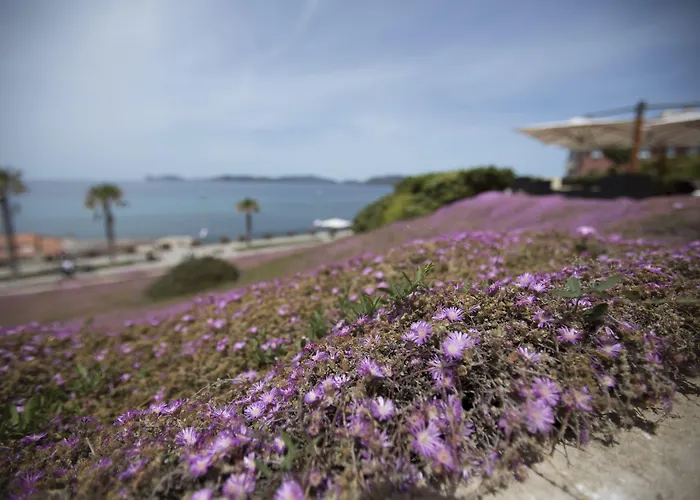莫斯卡迷人之家别墅住宿加早餐旅馆 住宿加早餐酒店 4*